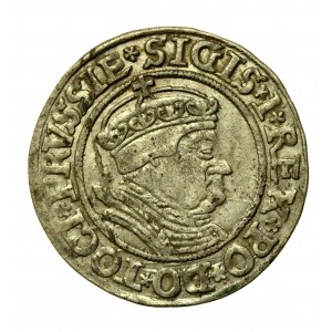Zygmunt I Stary, Grosz 1535, Toruń, PRVSSIE/PRVSSIE (84)