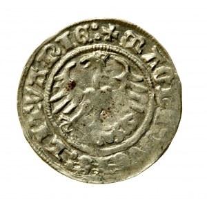 Sigismund I. der Alte, halber Pfennig 1511, Vilnius (96)