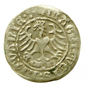 Zikmund I. Starý, půlpenny 1509, Vilnius (98)