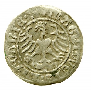 Sigismund I the Old, Half-penny 1509, Vilnius (98)