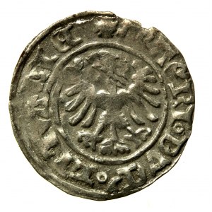 Alexander Jagiellonian, Halbpfennig ohne Datum, Vilnius (109)