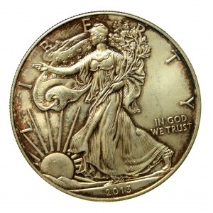 USA, 1 dolár 2013, American Eagle (552)