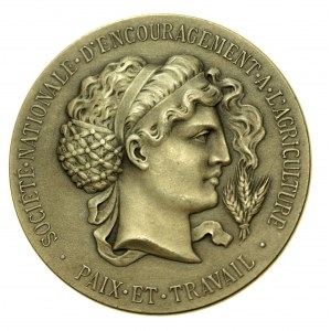 France, Third Republic, agricultural medal, silver (560)
