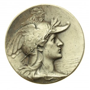 Francúzsko, Tretia republika, medaila, strieborná (561)