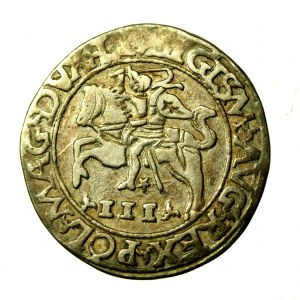 Zygmunt II August, Trojak szyderczy 1565, Tykocin (172)