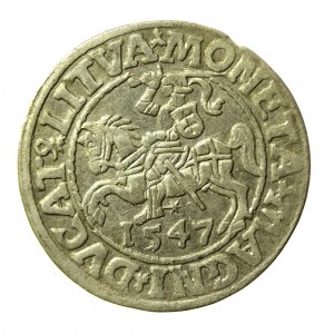 Zygmunt II August, Półgrosz 1547 Wilno, L / LITVA. Rzadszy (178)