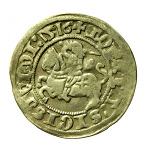 Zikmund I. Starý, půlgroš 1516, Vilnius - úplné datum (188)