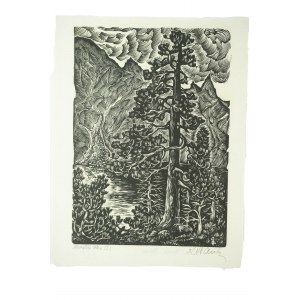 PAZDA Zygmunt - Morskie Oko I, woodcut, f. 20.5 x 26cm