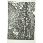 PAZDA Zygmunt - Morskie Oko I, drevorez, f. 20,5 x 26cm
