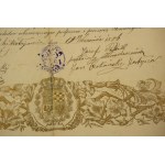 Dekorativní diplom z konce 19. století - OSVĚDČENÍ O VYUČENÍ absolvoval výuku řemesel - truhlářství v Mikolajově (...), 19. září 1886.
