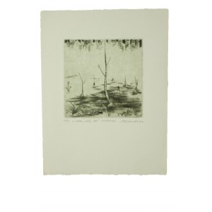 KANDZIORA Andrzej - Môj les, medená platňa 10/50, f. 75 x 77 mm