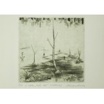 KANDZIORA Andrzej - My forest, copperplate 10/50, f. 75 x 77mm