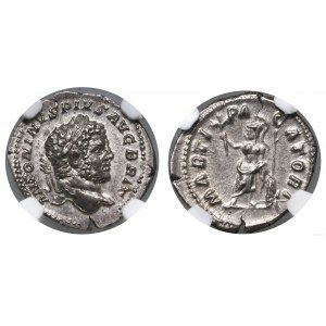 Cesarstwo Rzymskie, denar, 210-213, Rzym