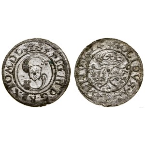 Polska, szeląg, 1624, Wilno