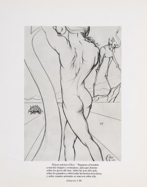 Salvador Dali, Genesis 1-26, 1980