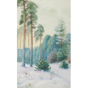 Fryderyk KLOPFER (1865-1942), Las zimą