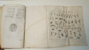 KLUK Krzysztof - DYKCYONARZ ROŚLINNY, w którym podług układu Linneusza są opisane rośliny nietylko kraiowe dzikie, pożyteczne, albo szkodliwe...Tom I, 1786
