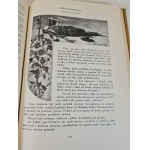 AMICIS - SERCE Ilustracje FERRAGUTI, NARDI, SARTARIO Wydanie 1