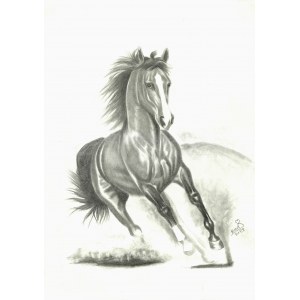 Karrar Español, Horse/ Horse