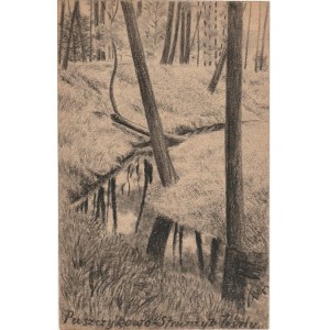 PUSZCZYKOWO. Widok na strumyk leśny, rys. ołówkiem autorstwa M. Pas ...