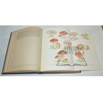 (CULINARY). Molochowiec Helena - Great illustrated cookbook.