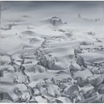 Bartek Buczek (geb. 1987, Czechowice Dziedzice), Winterserie I, III, V und VI, 2010