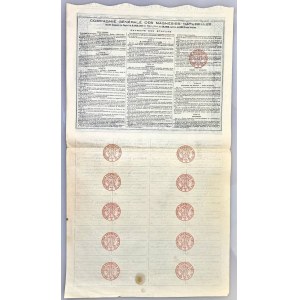 France Share of Compagnie Générale Des Magnésies Naturelles for 400 Francs 1883