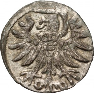 Sigismund II Augustus, denarius 1556, Elbląg
