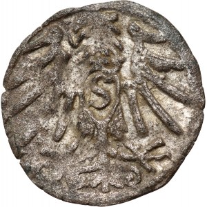 Ducal Prussia, Albrecht Hohenzollern, denarius without date, Königsberg