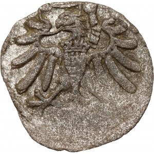 Sigismund I the Old, denarius 1539, Elbląg