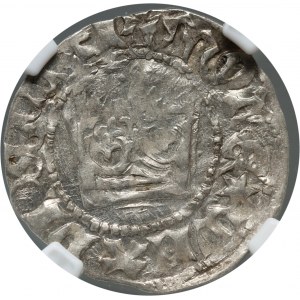 Władysław Jagiełło 1386-1434, półgrosz, Kraków, bez sygnatur