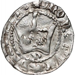 Władysław Jagiełło 1386-1434, half-penny, Kraków, reference P