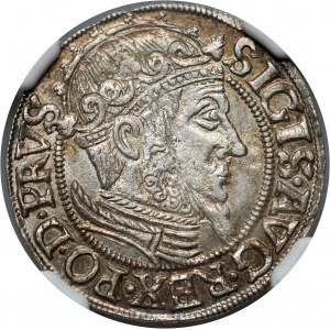 Sigismund II Augustus, penny 1557, Gdańsk