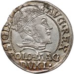 Sigismund II Augustus, Lithuanian penny per Polish foot 1547, Vilnius