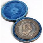 Rosja, Aleksander II, medal 1876, Fińska Wystawa Przemysłowa w Helsinkach