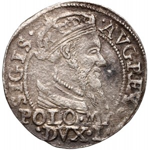 Sigismund II Augustus, Lithuanian penny per Polish foot 1568, Vilnius