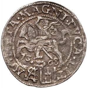 Sigismund II Augustus, Lithuanian penny per Polish foot 1568, Vilnius
