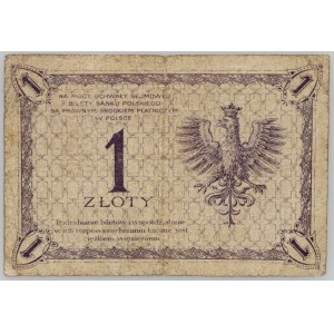 II RP, 1 zloty 28.02.1919, series 85 D