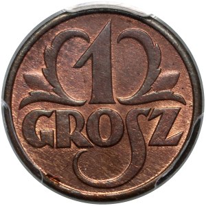 II RP, 1 grosz 1928, Warsaw