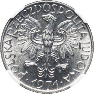 PRL, 5 złotych 1971, Rybak