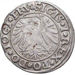 Zygmunt I Stary, grosz 1535, Elbląg