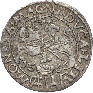 Zygmunt II August, grosz 1566, Tykocin