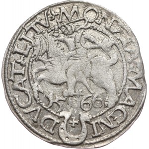 Zygmunt II August, półgrosz 1566, Tykocin