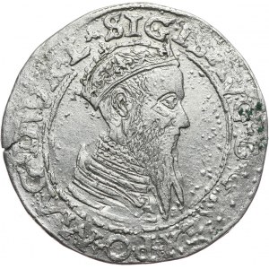Zygmunt II August, czworak 1565, Wilno