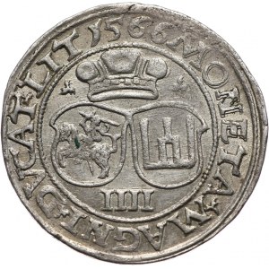 Zygmunt II August, czworak 1566, Wilno