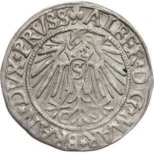 Prusy Książęce, Albert Hohenzollern, grosz 1542, Królewiec