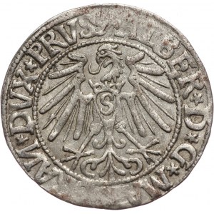Prusy Książęce, Albert Hohenzollern, grosz 1544, Królewiec