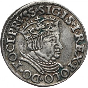 Zygmunt I Stary, trojak 1536, Gdańsk