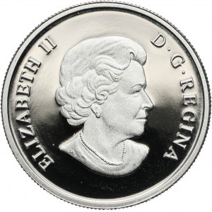 Kanada, Elżbieta II, 300 dolarów 2009, Bizon, platyna