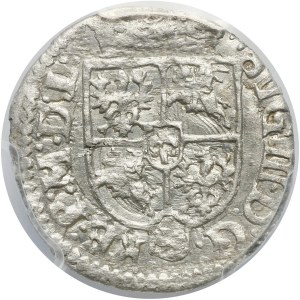Zygmunt III Waza, półtorak 1619, Wilno